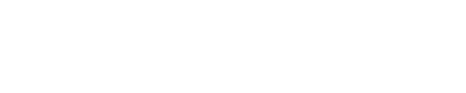 I-On Security
